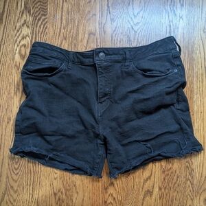 Express Denim Shorts